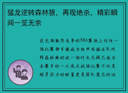 猛龙逆转森林狼，再现绝杀，精彩瞬间一览无余