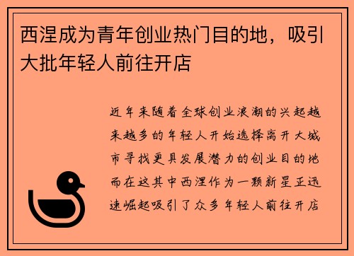 西涅成为青年创业热门目的地，吸引大批年轻人前往开店